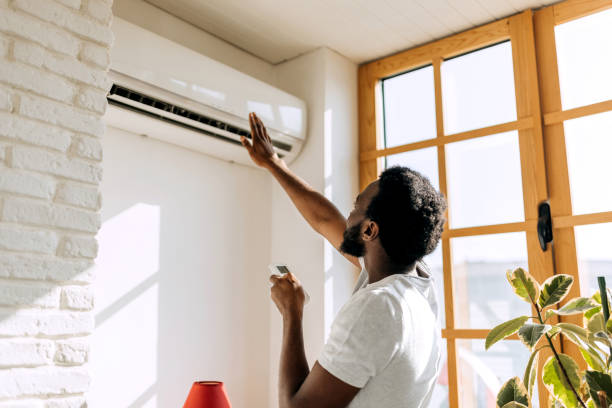 Best Ductless HVAC Repair  in Minneota, MN